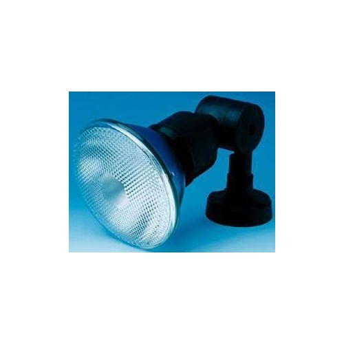Floodlight Lamp Holder W/par38